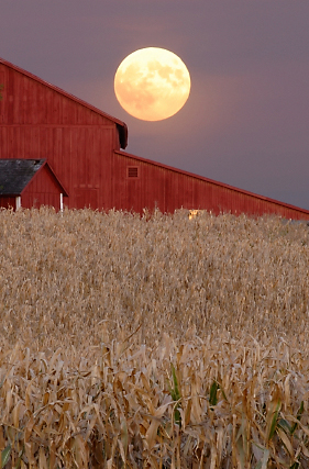 Pisces Harvest Full Moon Blessing and Ritual - Barley Moon