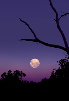 Crystal's moon ritual and meditation, full moon rising
