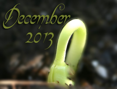 Post image for Daily Success Guide Astrological Forecast, December 1-31, 2013
