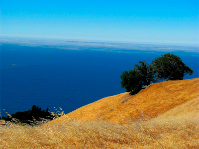 View from Mount Tamalpais, photo by Thomas Burchfield