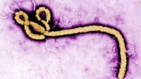 Astrology of Ebola