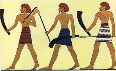 Egyptians and seven day week