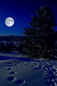 full moon in Leo