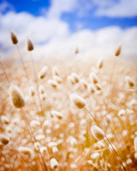 Daykeeper Astrology Journal September Changes