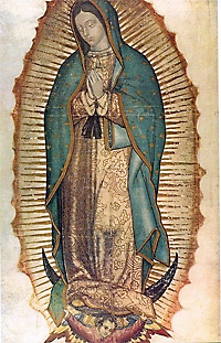 The Chaste Mother, La Virgen de Guadalupe