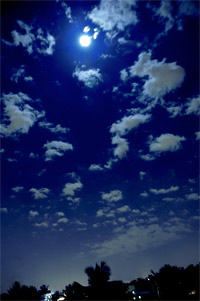 Scorpio Full Moon, April Hare Moon Portal