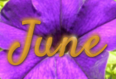 Daily Success Guide Free Astrological Forecast June 2013