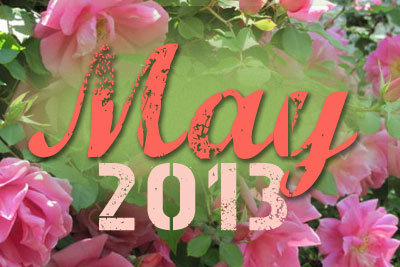 Daily Success Guide Free Astrological Forecast May 2013