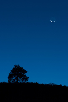 equinox new moon in pisces, march 2010
