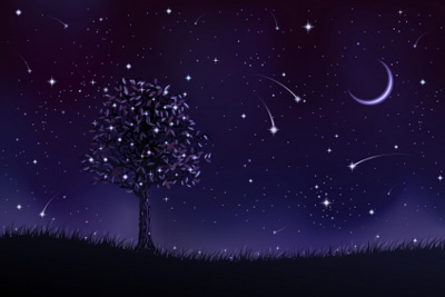 Post image for Last Lunar Cycle of 2009: Time to Do Something Adventurous