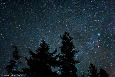 Scorpio New Moon - ritual to resurrect connection