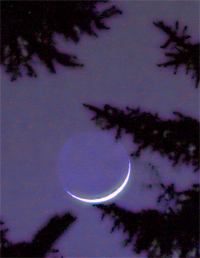 Taurus New Moon, May 2010