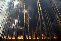 Russian wildfires, August 2010