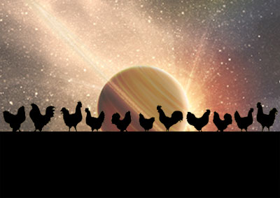 Saturn - Chickens Home to Roost