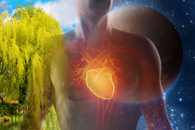 Plants, Planets and Astrology