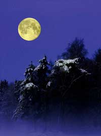 Snow Moon - Taurus Full Moon Ceremony