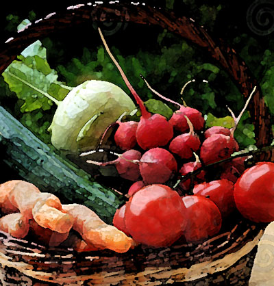 Season of Abundance