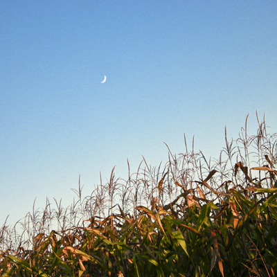 Virgo New Moon Ceremony